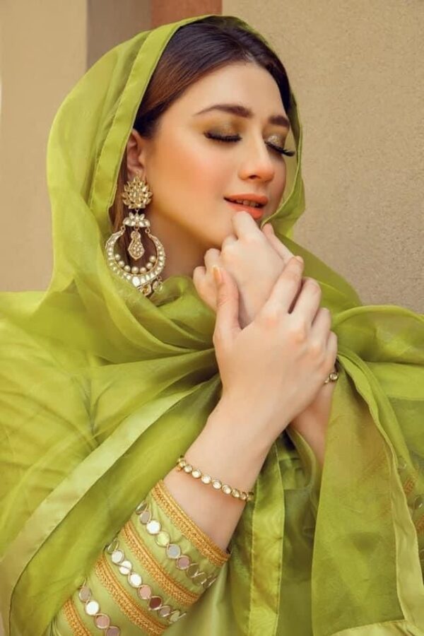 Organza Parrot Color Embroidered Salwar Suit - Image 3